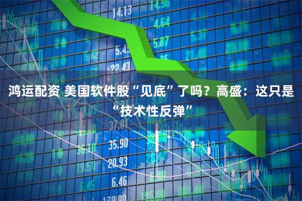 鸿运配资 美国软件股“见底”了吗？高盛：这只是“技术性反弹”